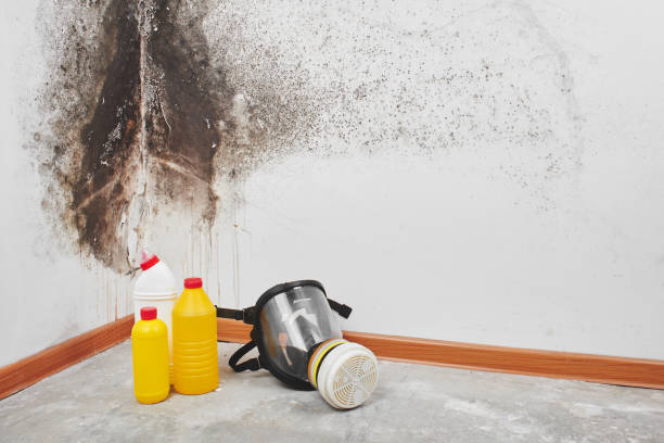 Best HVAC Mold Remediation in Del Rey Oaks, CA