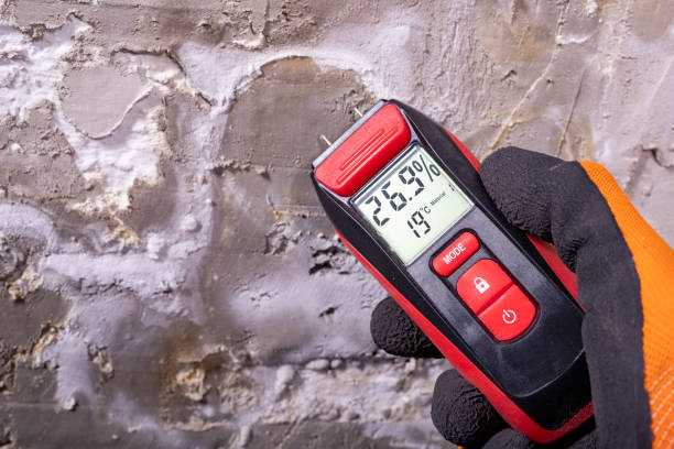 Best Mold Testing and Inspection Services in Del Rey Oaks, CA