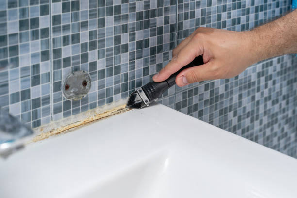 Best Residential Mold Remediation in Del Rey Oaks, CA